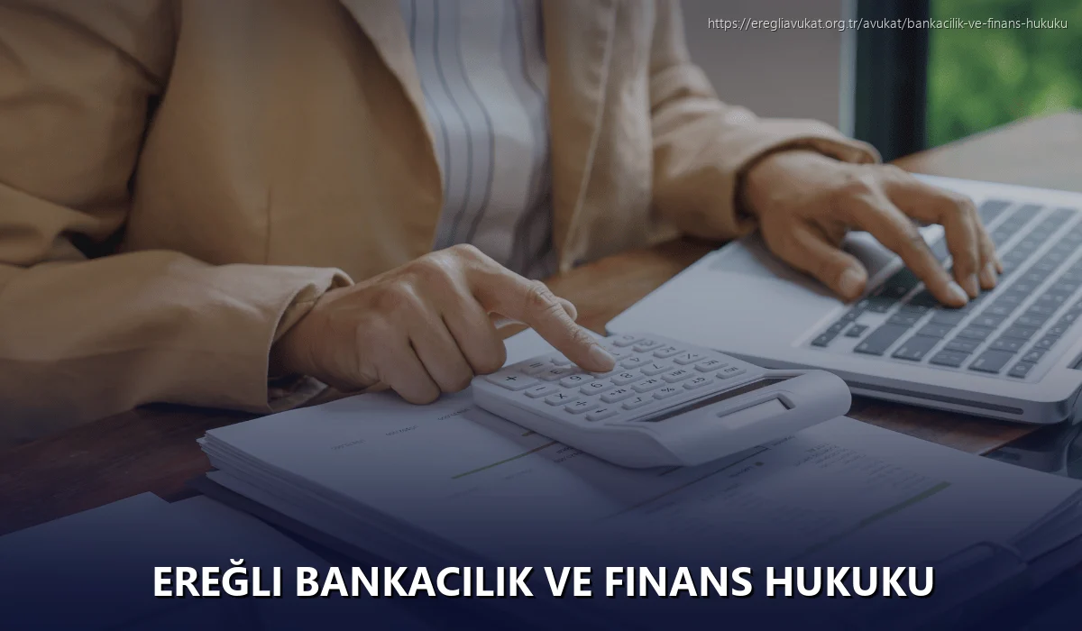 Ereğli Bankacılık ve Finans Hukuku