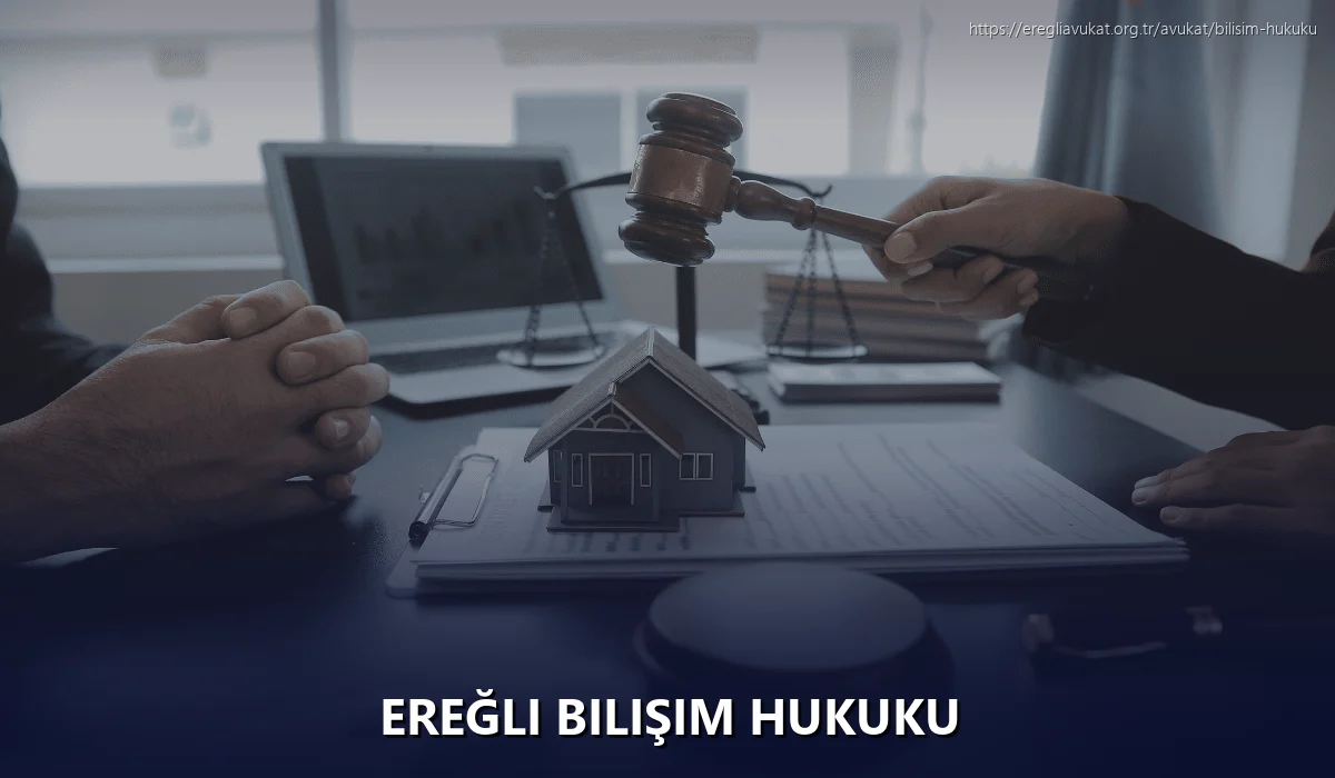 Ereğli Bilişim Hukuku