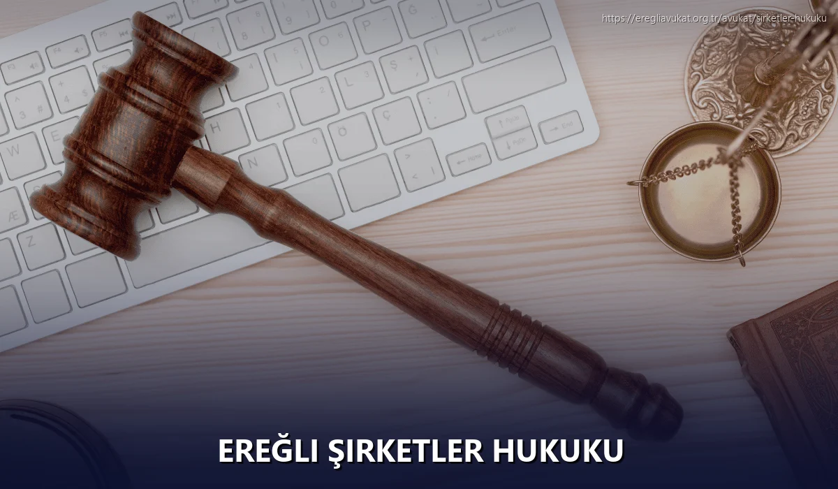 Ereğli Şirketler Hukuku
